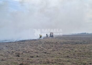 Incendios de pastizales complican la región, favorecidos por el viento y el clima seco