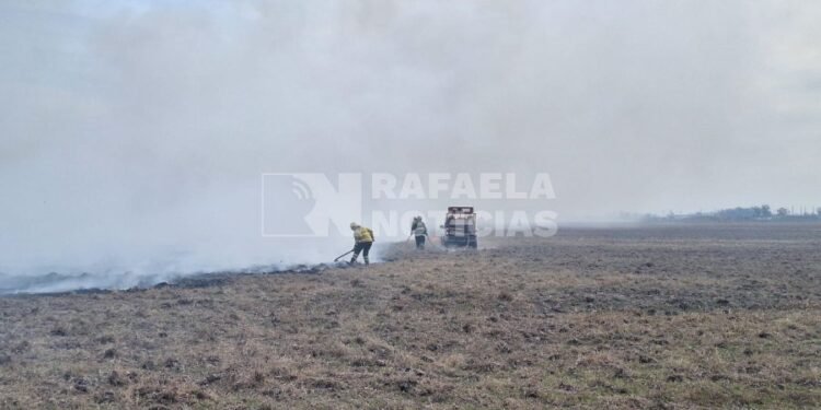 Incendios de pastizales complican la región, favorecidos por el viento y el clima seco