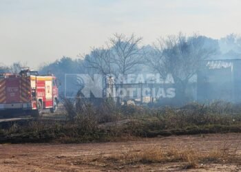 Incendios forestales sin tregua: otra quema muy cerca de un puente de la Variante