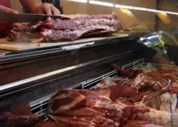 Repuntó la faena en la provincia de Santa Fe en el mes de julio