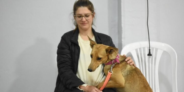 «Castraciones en tu barrio» se realizará en barrio Monseñor Zazpe