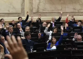 El PRO anticipó que acompañará el veto de Javier Milei a la Ley de Financiamiento Universitario