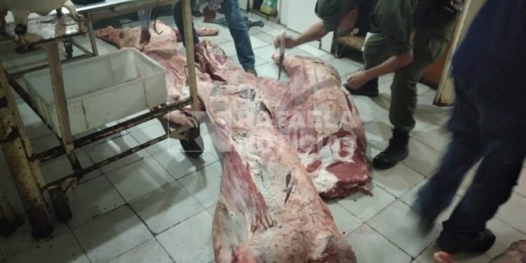 Los Pumas esclarecieron casos de abigeatos en el departamento Castellanos