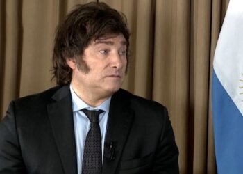 El plan de Milei: qué está bien, qué no, las dudas, lo que viene. ¿Qué piensan los economisas?