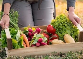 Los agroalimentos triplicaron sus precios en septiembre