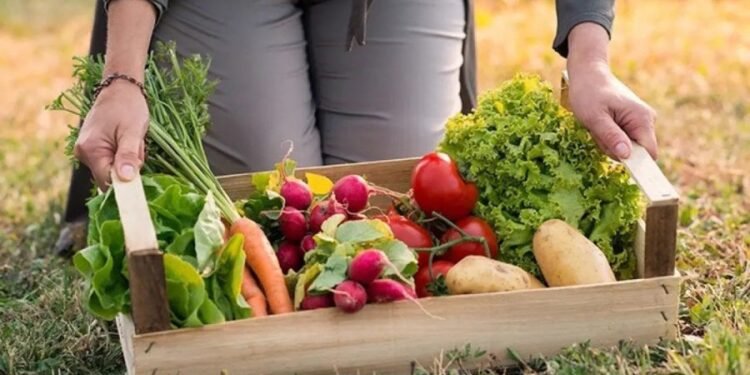 Los agroalimentos triplicaron sus precios en septiembre