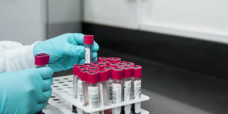 El Gobierno promulga una ley que expande el Registro de Datos Genéticos.