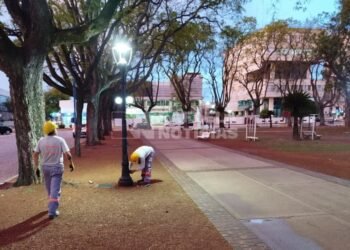 Plaza 25 de mayo: comenzó el recambio de luminarias