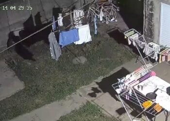 Cuidado con el perro: puso en fuga a un ladrón en barrio San José