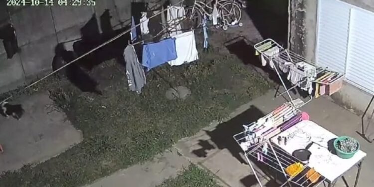 Cuidado con el perro: puso en fuga a un ladrón en barrio San José