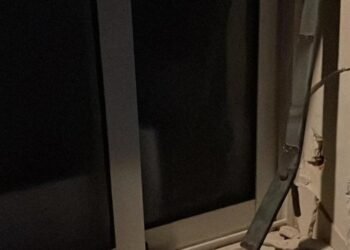 Una calle transitada, no intimidó a los ladrones