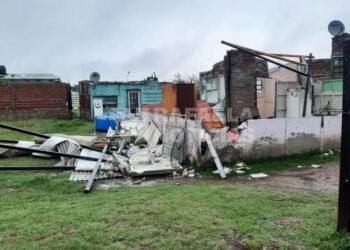 Temporal en Rafaela: suspensión de clases, árboles caídos y viviendas afectadas