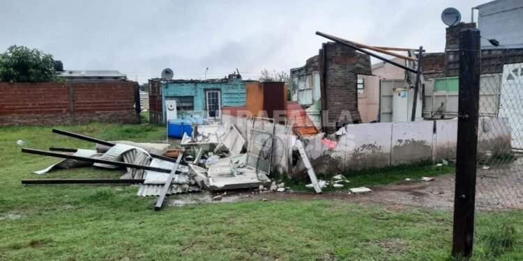 Temporal en Rafaela: suspensión de clases, árboles caídos y viviendas afectadas