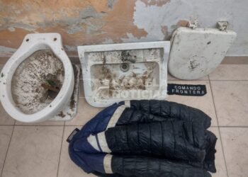 Operativo «sanitario»: detuvieron a un sujeto por robar un inodoro y pileta de baño