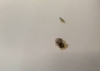 Un avión debió abordar aterrizaje Haití tras recibir disparos de las pandillas en el aeropuerto