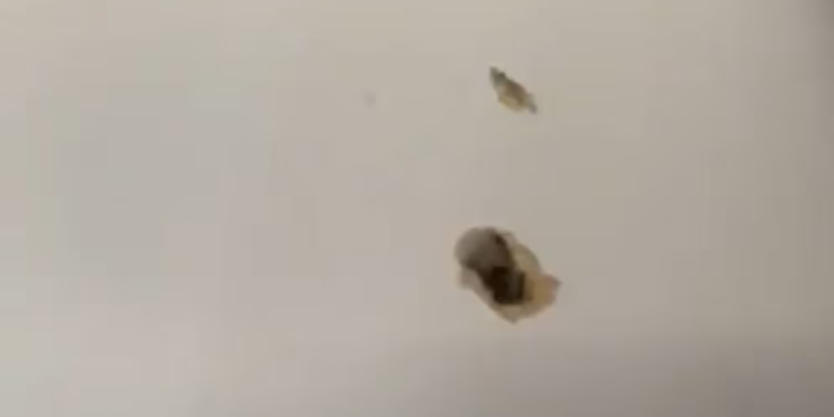 Un avión debió abordar aterrizaje Haití tras recibir disparos de las pandillas en el aeropuerto