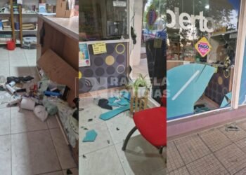 Destrozó la puerta de un comercio en Av. Podio para ingresar a robar
