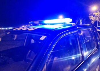 La «nona» les pegó el grito y los puso en fuga