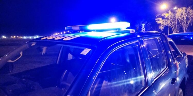 La «nona» les pegó el grito y los puso en fuga