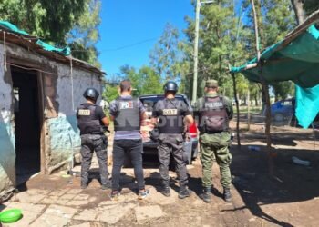 Fueron a derribar un búnker narco, y se encontraron con una faena clandestina