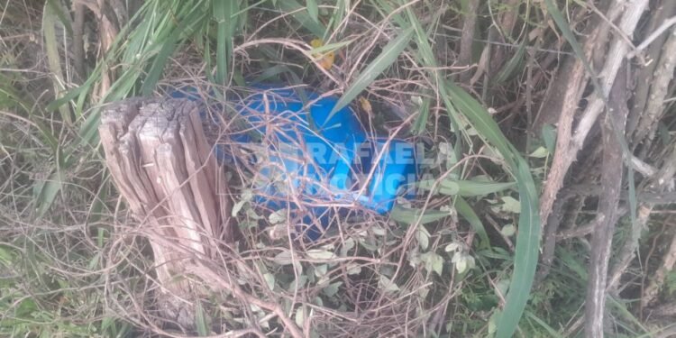 Patrullaje efectivo de la GUR: los paró un vecino y frustraron un robo