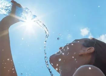 La ciudad y la región entraron en alerta amarilla: ¿qué se debe tener en cuenta ante la ola de calor?