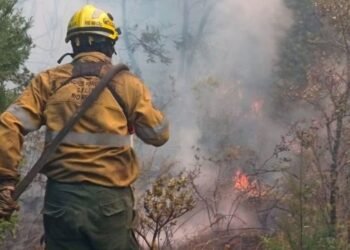 Más de 100 casas destruidas en El Bolsón: confirman que el incendio fue intencional