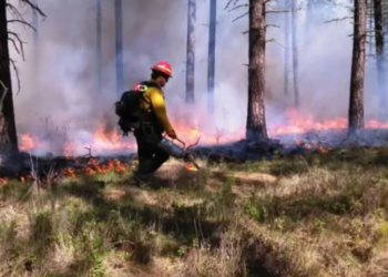 Incendios en la Patagonia: cuatro focos activos y más de 18 mil hectáreas afectadas