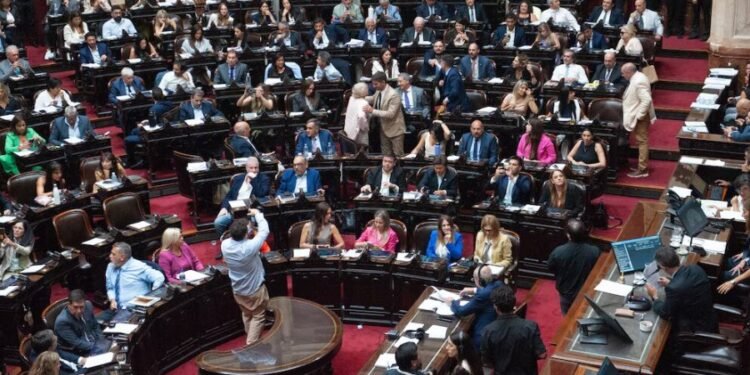 Diputados aprobó la suspensión de las PASO y el proyecto pasa al Senado