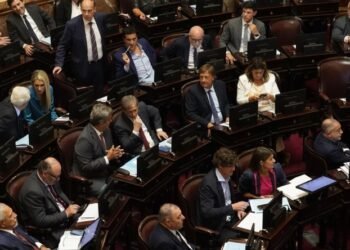 El Senado aprobó la suspensión de las PASO para este año