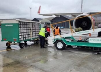 El Gobierno pone en marcha la privatización total de Intercargo