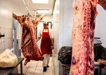 Marcha atrás para abrir la barrera sanitaria de la Patagonia