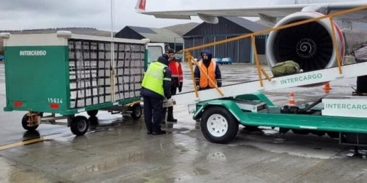 El Gobierno pone en marcha la privatización total de Intercargo