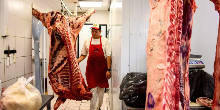 Marcha atrás para abrir la barrera sanitaria de la Patagonia