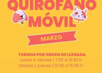 El Quirófano Móvil prestará servicio en barrio Belgrano