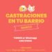 Las «Castraciones en tu barrio» serán en Nuestra Señora de Luján