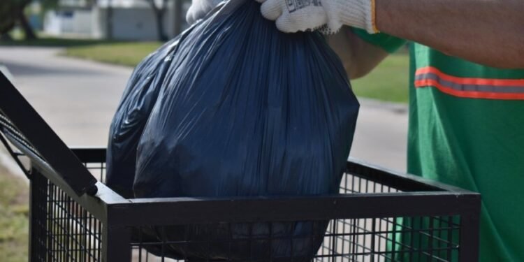 Recolección de residuos de patio en el sector 4