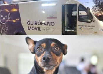 Rafaela: Dónde estarán el Ómnibus Sanitario y el Quirófano Móvil