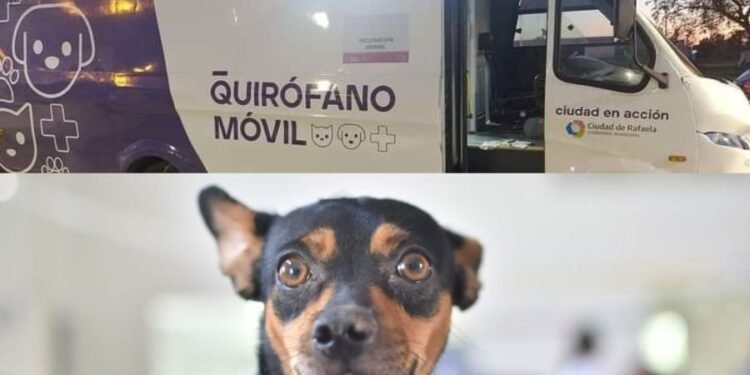 ¿Cómo y dónde funcionarán los servicios municipales esta semana?