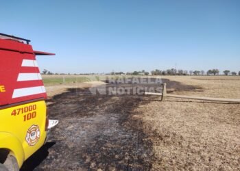 Una cosechadora enganchó cables y provocó un incendio en un campo al sur de Clucellas