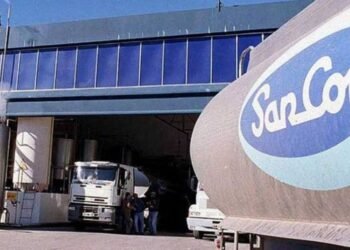 Rematarán más de 43 mil kilos de queso de Sancor por deudas