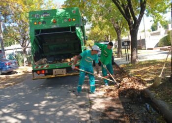 El municipio refuerza y amplía el servicio de barrido y recolección de hojas