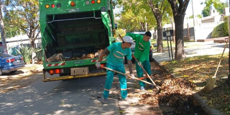 El municipio refuerza y amplía el servicio de barrido y recolección de hojas