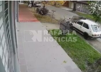 Caradura e impune: pasaba por ahi, abrió el capot y se llevó una batería