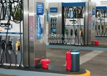 Cayó un 15% em precio internacional del petróleo: ¿puede bajar la nafta en Argentina?