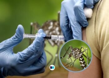 Dengue en Santa Fe: cuatro fallecidos y más de 6.800 casos confirmados