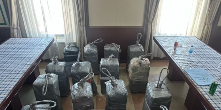 Importante decomiso de cocaína en puerto santafesino: 482 kilos hallados en buque cerealero