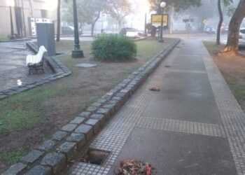 Realizaron limpiezas en plazas de Rafaela