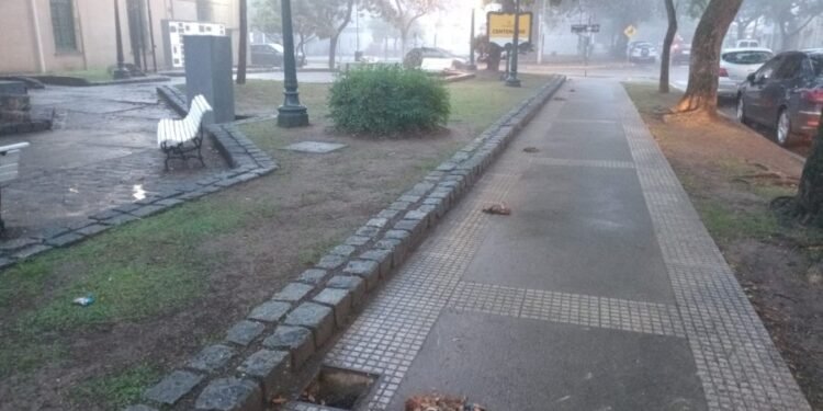 Realizaron limpiezas en plazas de Rafaela