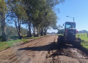 Más infraestructura para la ciudad: continúan los trabajos en veredas, calles y canales